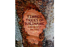 Timber Trees of Suriname