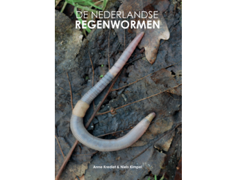 De Nederlandse Regenwormen