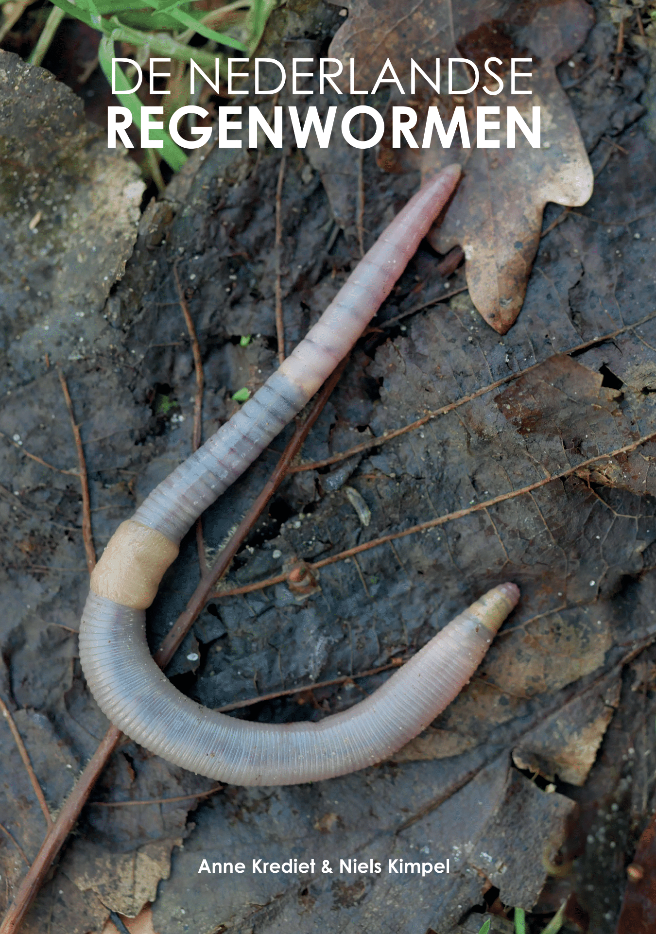De Nederlandse Regenwormen
