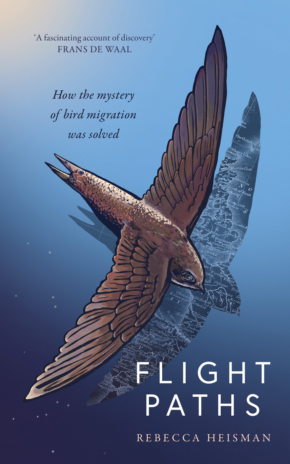 Flight Paths - How the mystery of bird migration was solved