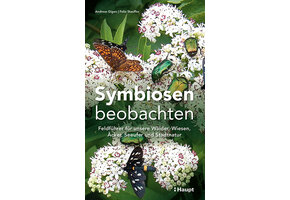 Symbiosen beobachten