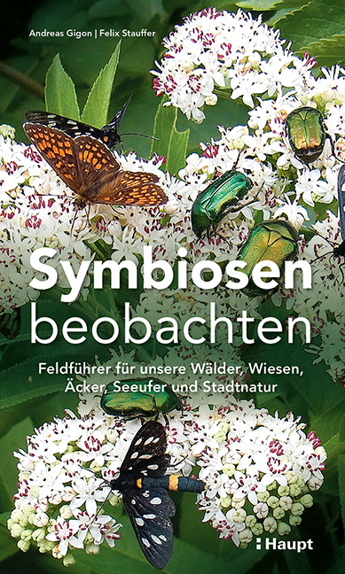 Symbiosen beobachten - Feldführer für unsere Wälder, Wiesen, Äcker, Seeufer und Stadtnatur