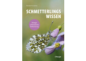 Schmetterlingswissen