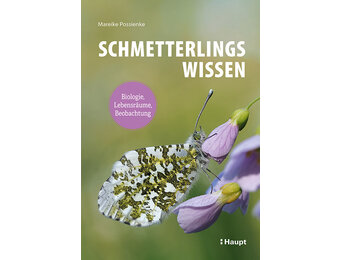 Schmetterlingswissen