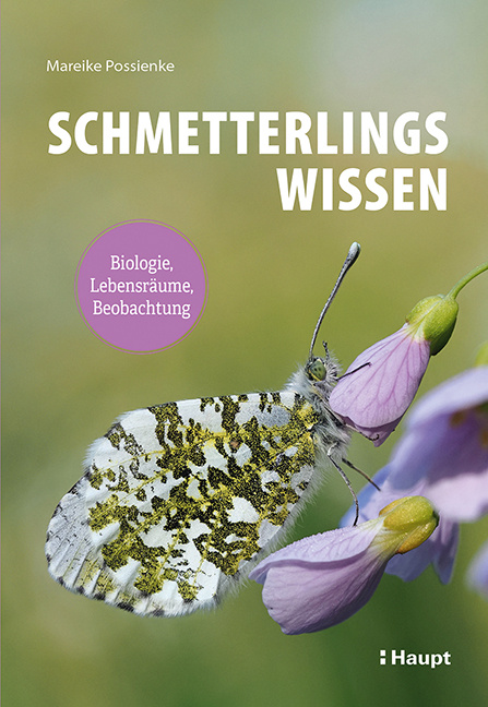Schmetterlingswissen - Biologie, Lebensräume, Beobachtung
