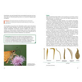 Schmetterlingswissen - Biologie, Lebensräume, Beobachtung