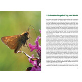 Schmetterlingswissen - Biologie, Lebensräume, Beobachtung