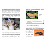 Schmetterlingswissen - Biologie, Lebensräume, Beobachtung