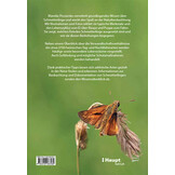 Schmetterlingswissen - Biologie, Lebensräume, Beobachtung