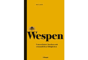 Wespen