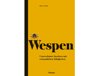 Wespen