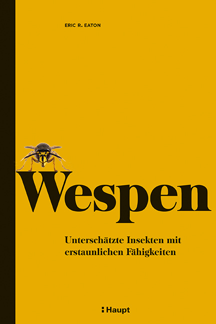 Wespen - Unterschätzte Insekten mit erstaunlichen Fähigkeiten