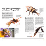 Wespen - Unterschätzte Insekten mit erstaunlichen Fähigkeiten
