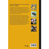 Wespen - Unterschätzte Insekten mit erstaunlichen Fähigkeiten