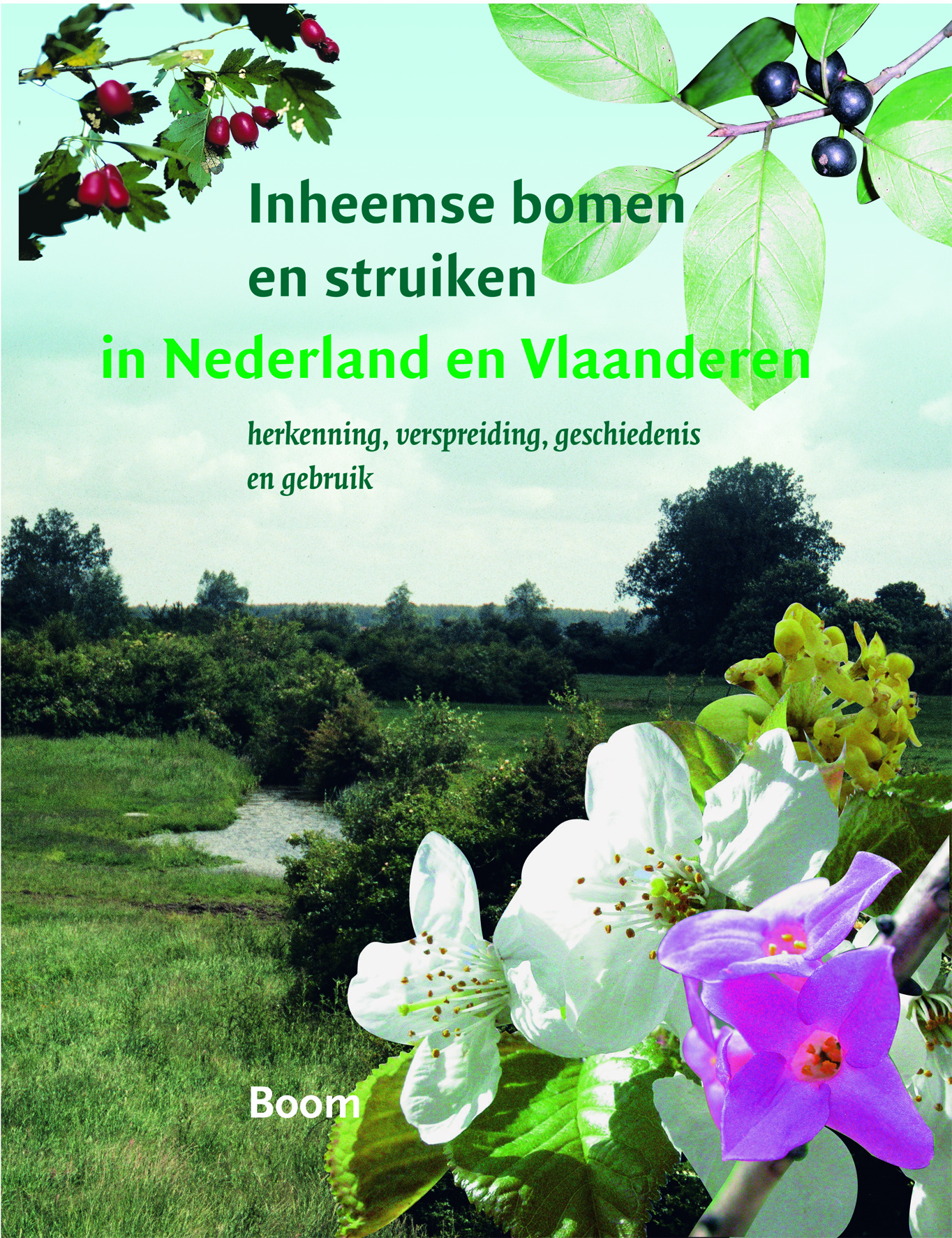 Inheemse bomen en struiken in Nederland en Vlaanderen - Herkenning, verspreiding, geschiedenis en gebruik