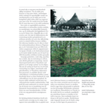 Inheemse bomen en struiken in Nederland en Vlaanderen - Herkenning, verspreiding, geschiedenis en gebruik