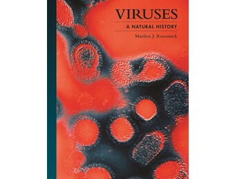Viruses: A Natural History