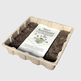 Flip the City Bijen-Kroostegel