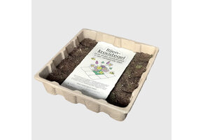 Flip the City Entengrütze-Gehwegplatte für Bienen