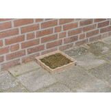 Flip the City Bijen-Kroostegel