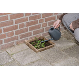 Flip the City Bijen-Kroostegel