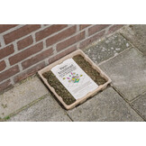 Flip the City Schatten-Entengrütze-Gehwegplatte