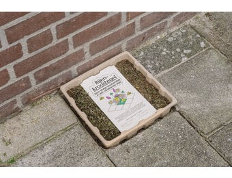 Flip the City Schatten-Entengrütze-Gehwegplatte