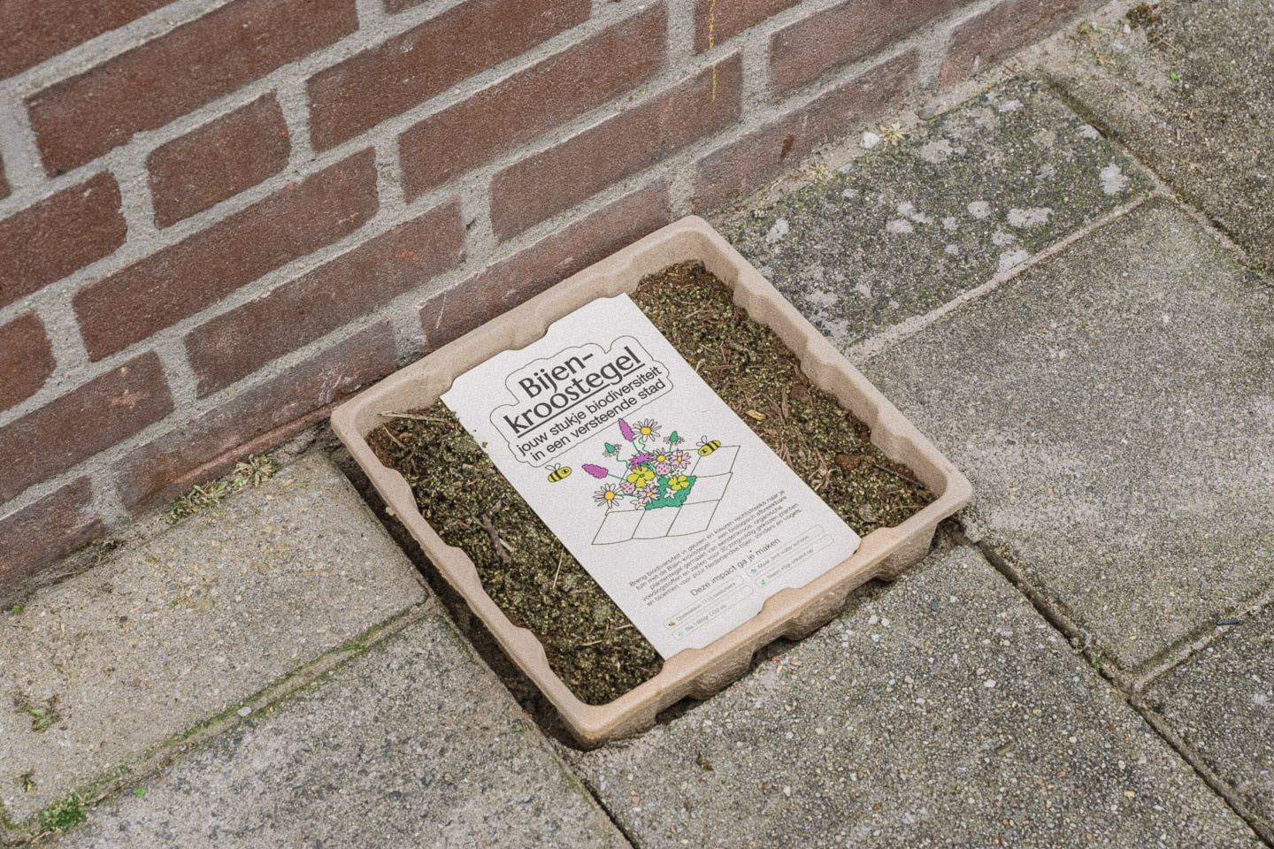 Flip the City Schatten-Entengrütze-Gehwegplatte