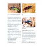 The Royal Entomological Society Book of British Insects