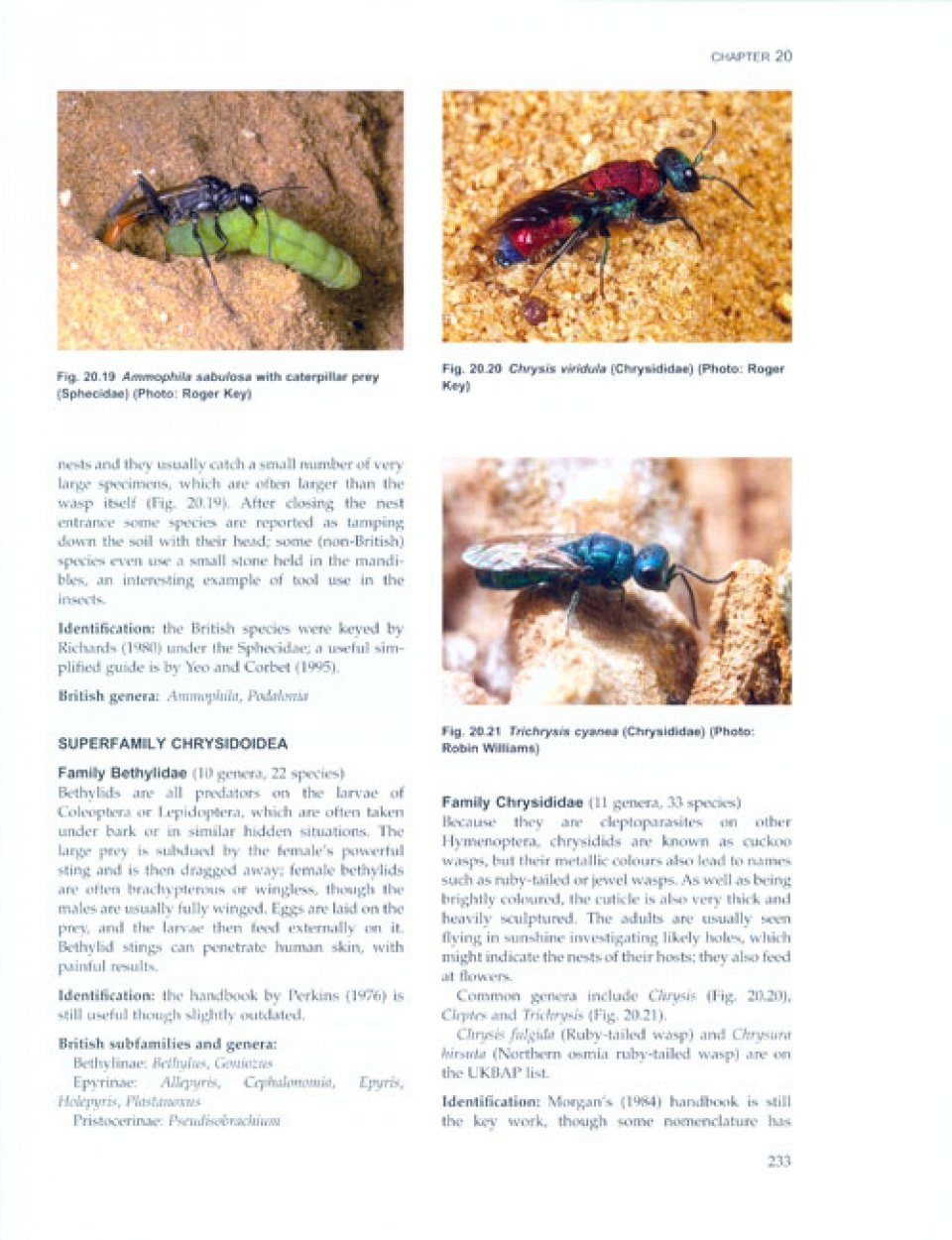 The Royal Entomological Society Book of British Insects