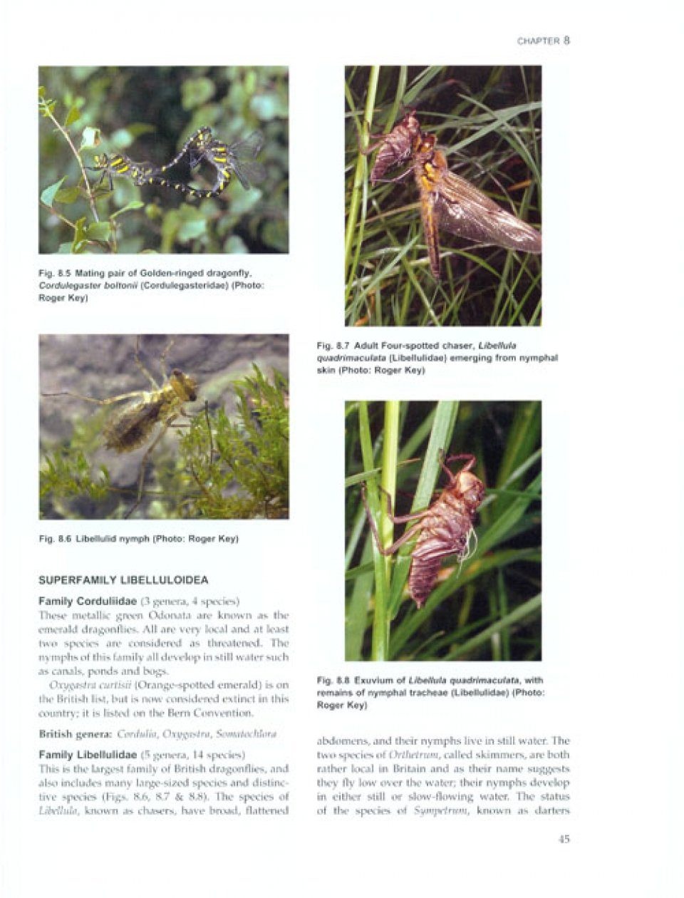 The Royal Entomological Society Book of British Insects