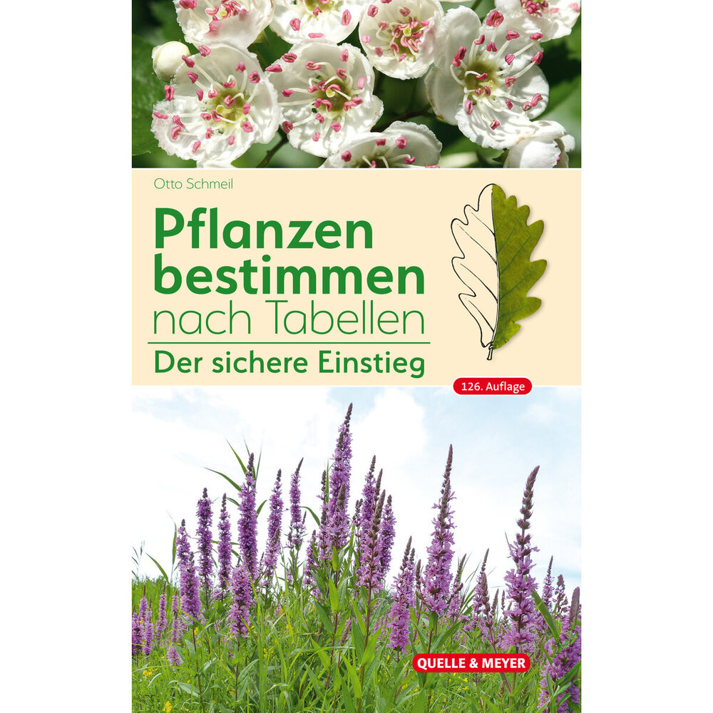 Gartenpflanzen Bestimmen – Gartenpflanzen Übersicht – FDOMF