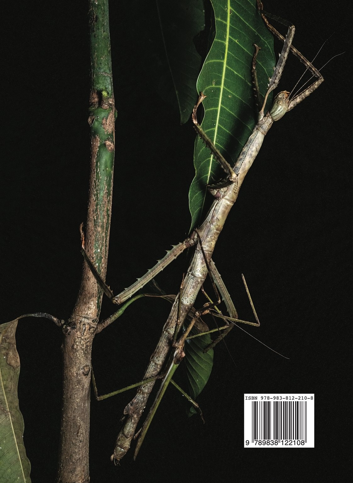 A Taxonomic Guide to the Stick Insects of Java Vol. 1