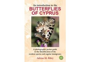 An Introduction to the Butterflies of Cyprus