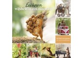 Eekhoorn - wijsheid in een notendop