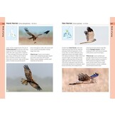 RSPB Birds of the British Isles