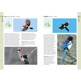 RSPB Birds of the British Isles