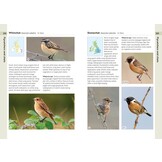 RSPB Birds of the British Isles
