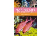 Marine Life of the Mediterranean