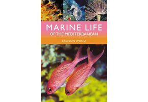 Marine Life of the Mediterranean