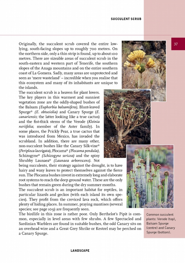 Crossbill Guide Tenerife and La Gomera - Canary Islands - Spain