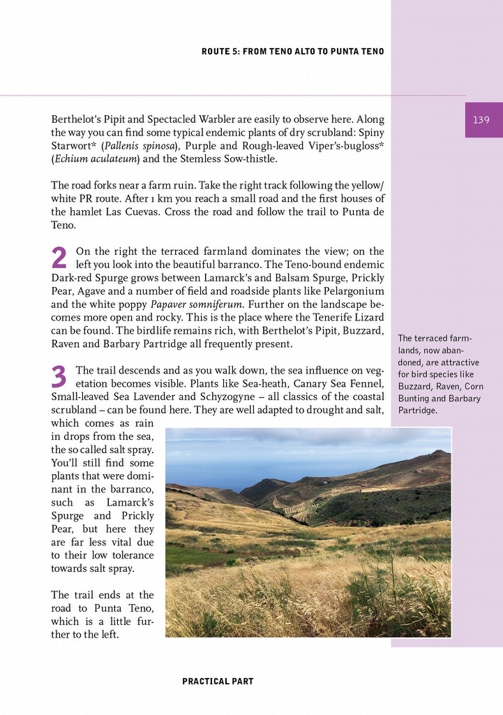 Crossbill Guide Tenerife and La Gomera - Canary Islands - Spain