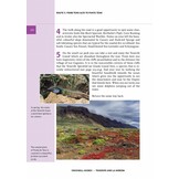 Crossbill Guide Tenerife and La Gomera - Canary Islands - Spain