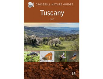 Crossbill Guide Tuscany