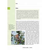 Crossbill Guide Tuscany - Italy