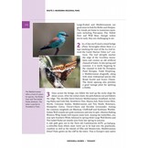 Crossbill Guide Tuscany - Italy