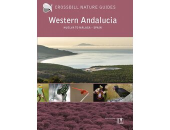 Crossbill Guide Western Andalucia