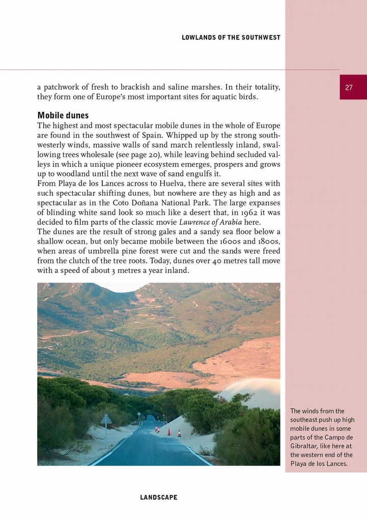 Crossbill Guide Western Andalucia - Huelva to Málaga - Spain