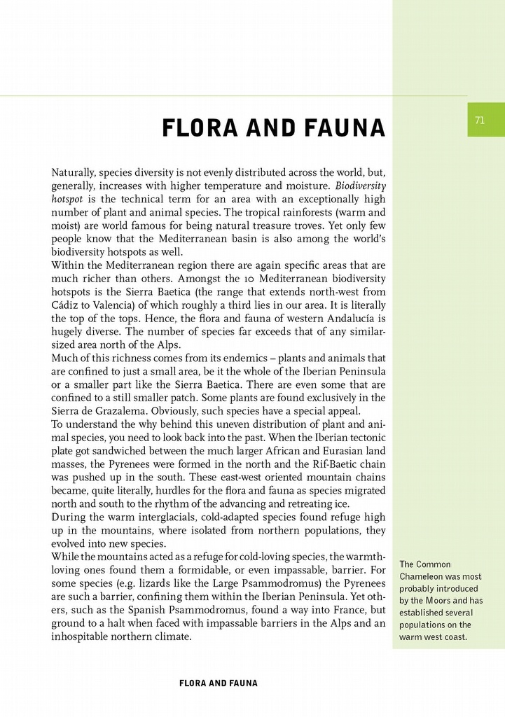 Crossbill Guide Western Andalucia - Huelva to Málaga - Spain