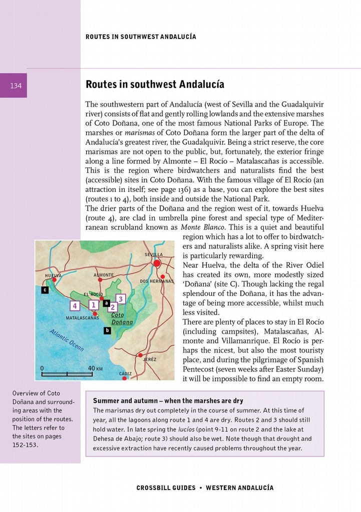 Crossbill Guide Western Andalucia - Huelva to Málaga - Spain